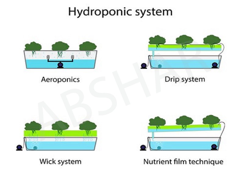 سیستم هیدروپونیک