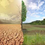 راه حل‌های مدیریت آب در کشاورزی