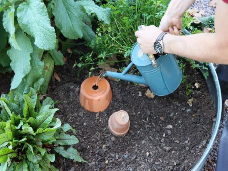 watering pot